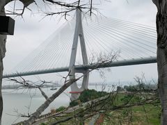 -芒洲湿地公园