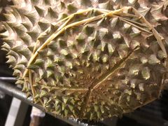 -都念榴莲·城市榴莲