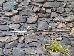 -驿舍·民國老营房院子私房菜(科学会堂店)