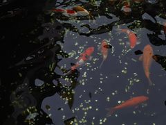 -长春观