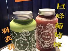 羽衣排毒王-野萃山·潮汕厚果汁(十亩地店)
