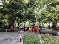 -成都市活水公园