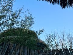 -大连金石滩绿发温泉假日酒店