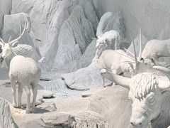 -中国湿地博物馆