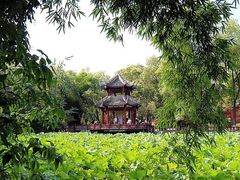 -房湖公园