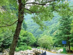 -少华山国家森林公园
