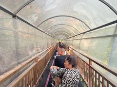 -牛鱼嘴原始生态风景区