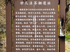 -大觉寺-停车场