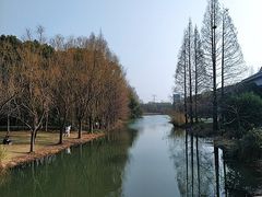 -昆山城市生态森林公园