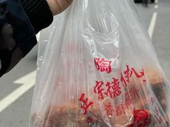-陶记正宗德州扒鸡(科巷店)