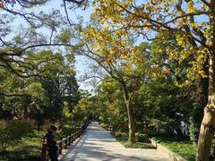 -普陀山慧济禅寺