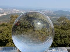 -黄埔油麻山森林公园