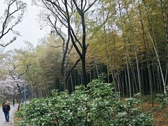 -无锡蠡湖国家湿地公园-蠡园