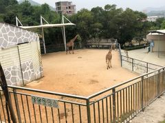 -泉州海丝野生动物世界