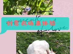 -前小桔亲子创意农场·草莓采摘·露营烧烤