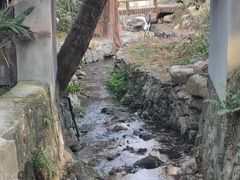 -东明山森林公园