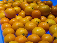 -盛江山自助料理(奥莱锦辉购物广场店)