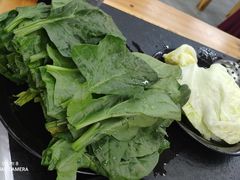 -新乡杨记红焖羊肉火锅(天坛南门店)