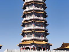 -金塔沙漠胡杨林景区
