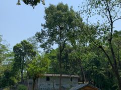 -中国大熊猫保护研究中心雅安碧峰峡基地