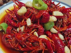 -杨氏青龙虾·羊蝎子(珠江路店)