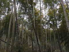 -山沟沟景区