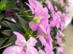 -深运潮州粥(水库店)