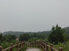 -白水寺森林公园
