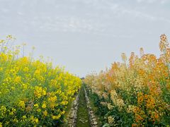 -中国天府农业博览园