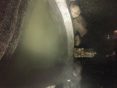 阳明温泉山庄-余姚阳明温泉山庄