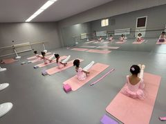 -蒲公英舞蹈艺术中心(促进路校区)