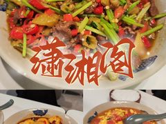 -潇湘阁(望京SOHO店)