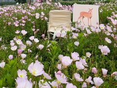 -洋湖国家湿地公园