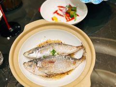 巴浪鱼-神洲四海大酒楼(王府井澳门中心店)