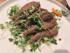 -连鹭海鲜·海肠捞饭·海胆饭(星海店)