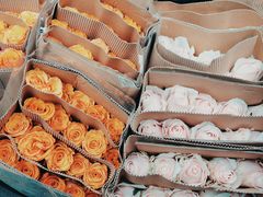 -循礼门鲜花花市(武汉循礼门店)