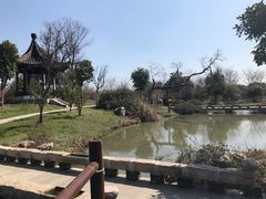 -鹅湖玫瑰文化园