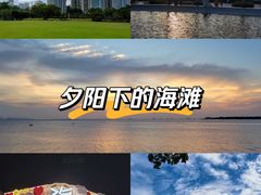 -万绿园