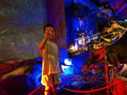 -恐龙探索乐园(磁器口店)