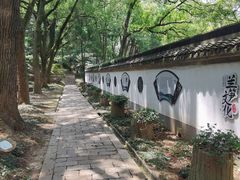 -上海佘山国家森林公园天马山园