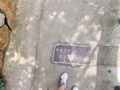 -沂蒙山旅游区云蒙景区(蒙山国家森林公园)