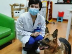 -北京观赏动物医院·24小时大型综合·猫专科·异宠专科