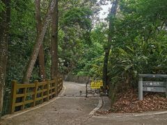 -广州市流溪河国家森林公园