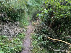 -西岭雪山大飞水景区