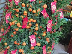 -马哥孛罗咖啡厅·Cafe Marco (厦门马哥孛罗东方大酒店)