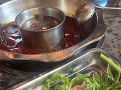 -金鼎雪山牦牛杂火锅(理县总店)