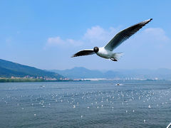 -海埂大坝