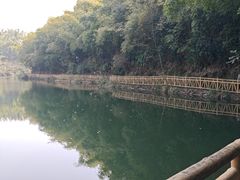 -沐川竹海旅游景区