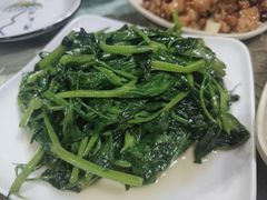 炒豌豆尖-良泉足疗