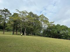 -东莞植物园